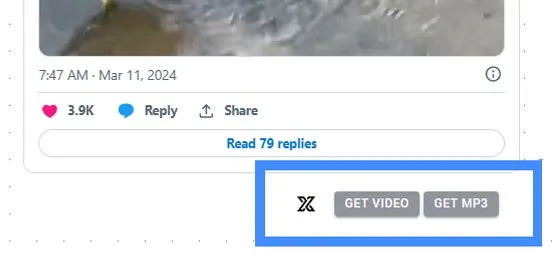 X (Twitter) Video Downloader API